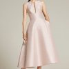 Audrey Brooks Dresses | Champagne Rose Dress