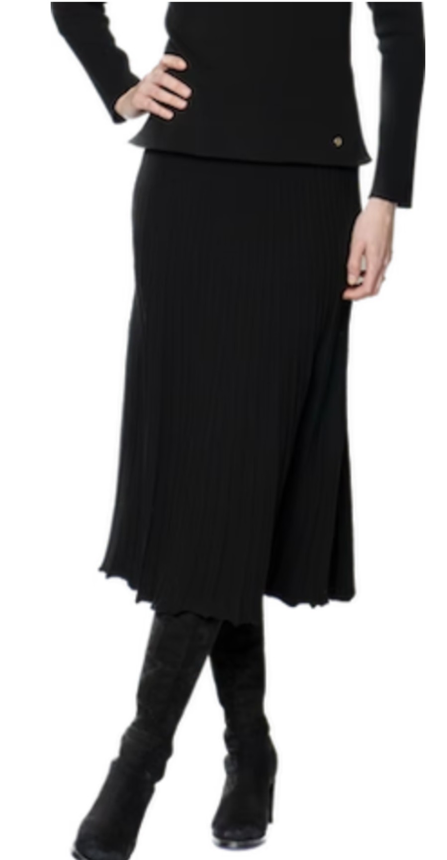 Biana Skirts | Georgia Skirt In Black